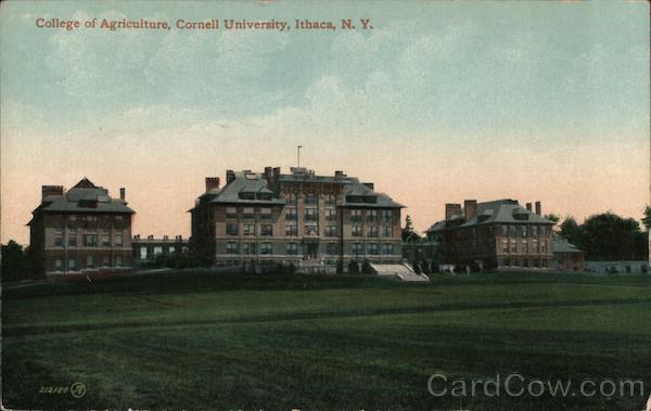 College of Agriculture - Cornell University Ithaca New York