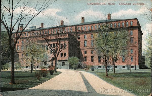 Aggassiz Museum Cambridge Massachusetts