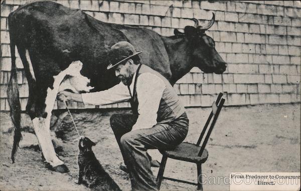 From Producer to Consumer Direct Comic, Funny