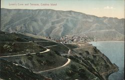 Lover's Cove and Terraces Santa Catalina Island, CA Postcard Postcard Postcard