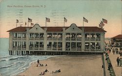 New Pavilion Postcard