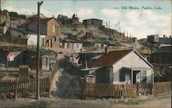 Old Mexico Postcard