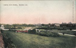 Campus State Normal Postcard