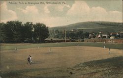 Athletic Park & Grampian Hill Williamsport, PA Postcard Postcard Postcard
