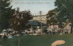 Scene in Hague Park Postcard
