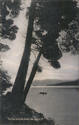 The Pines Along the Shore Postcard