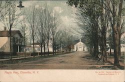 Maple Avenue View Ellenville, NY Postcard Postcard Postcard