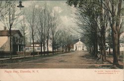 Maple Avenue View Postcard