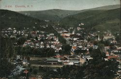 Bird's Eye View of Town Postcard