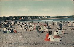 Lynn Beach Boulevard Massachusetts Postcard Postcard Postcard