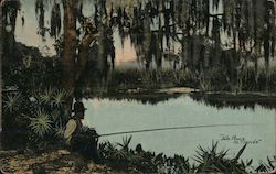 Idle Hours in Florida Postcard