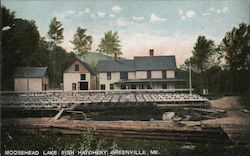 Moosehead Lake Fish Hatchery Greenville, ME Postcard Postcard Postcard