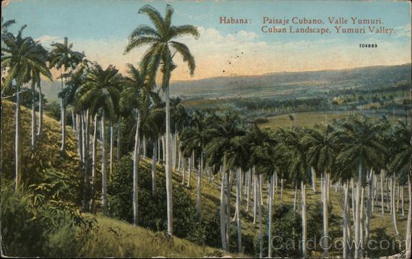 Paisaje Cubano, Valle Yumuri Havana