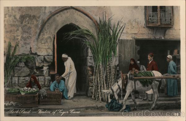 Venders of Sugar Cane Port Said Egypt Africa