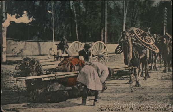 Tashkent Uzbekistan Eastern Europe