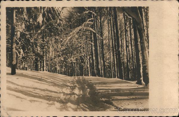 Schöneck Vogtland Germany