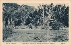 Pond with Victorias Regias - Botanical Garden Postcard