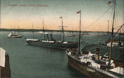 Harbour Scene Postcard