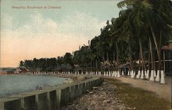 Beautiful Boulevard at Cristobal Postcard