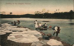 Washing on the Chagres Postcard