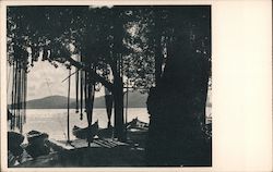 View of Bosphorous Postcard