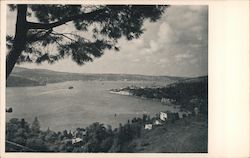 View of Princes Islands Postcard