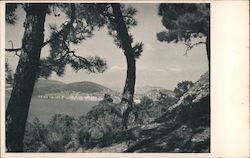Princes Islands - Istanbul, Turkey Postcard