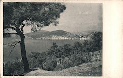 View of Bosphorous Postcard