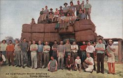 An Australian Sheep Station, 'Sheep Shearers' Postcard
