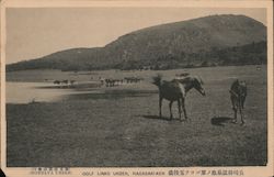 Golf Links Unzen, Nagasaki-Ken Postcard