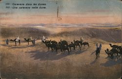 Canavane dans les dunes Postcard