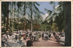 Maxtal Cafe and Restaurant Marienbad, Czechoslovakia Eastern Europe Postcard Postcard Postcard