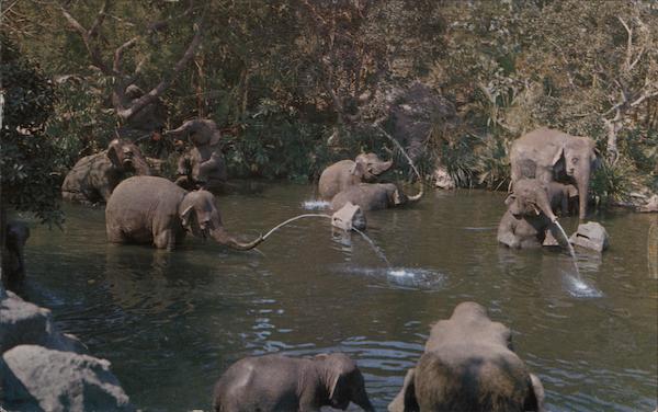 Disneyland, The Magic Kingdom, Elephant Bathing Pool, Adventureland