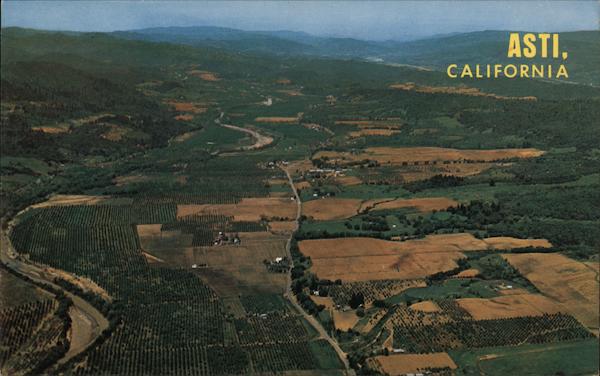 Aerial View of the Heart of Redwood Wine Country - Noted for it's beautiful vineyards Asti California