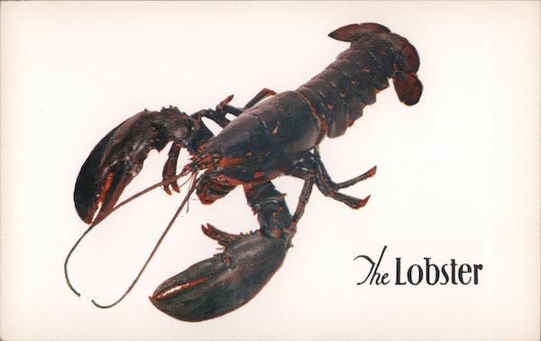 The Lobster New York City