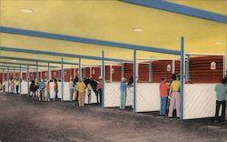 Stock #701121 Thumbnail