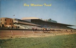 Bay Meadows Race Track Postcard