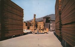 The Pacific Lumber Company Postcard