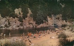 River Beach on Redwood Highway Postcard