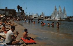 Fun Zone - Bathing in the warm placid waters of Blue Balboa Bay Postcard