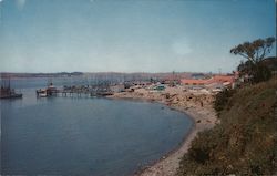 Fishing Boats on Beautiful Bodega Bay Postcard