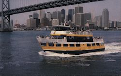 Golden Bear Postcard