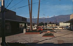 Pomona on the Mall Postcard