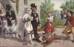 Bride and Groom Cats in Clothing Postcard Postcard Postcard