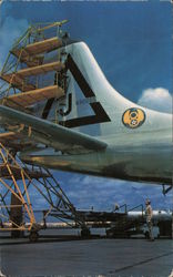 Tail Four Stories High Postcard