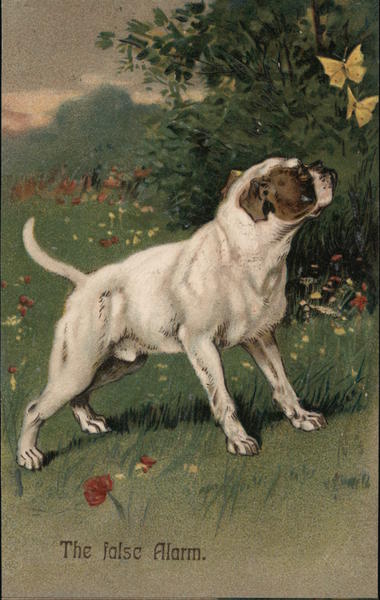 The False Alarm Dogs