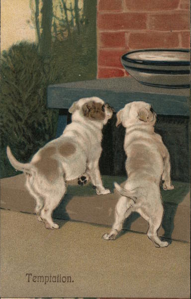 Temptation. Two dogs look at a bowl on a shelf.