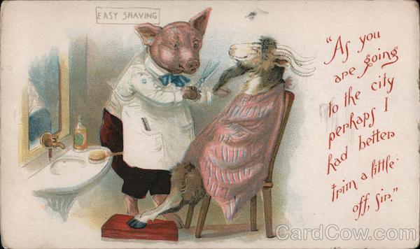 Pig Shaving Goat Dressed Animals