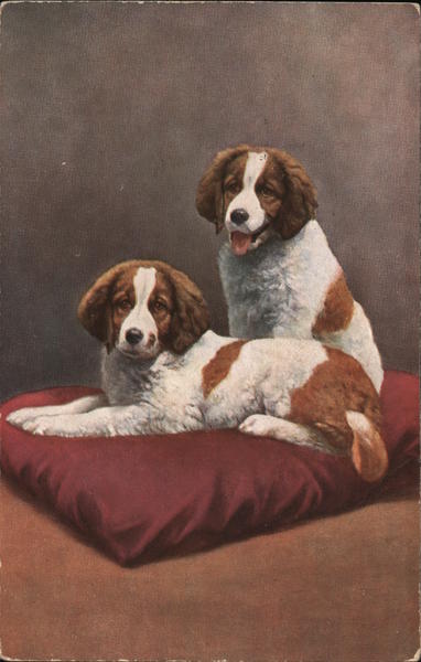 Two Spaniels on a Cushion Dogs