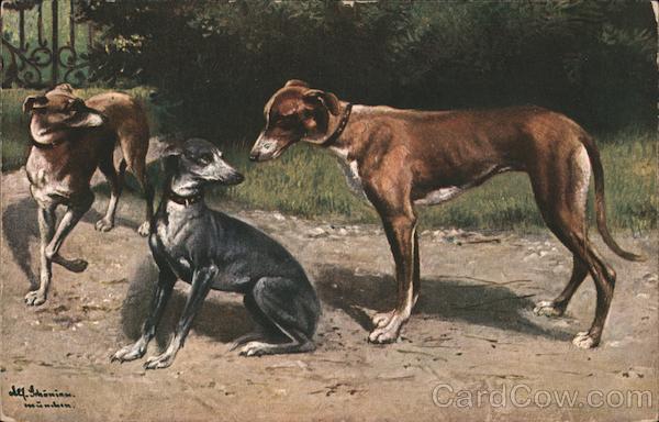 Three Hounds Outside Dogs
